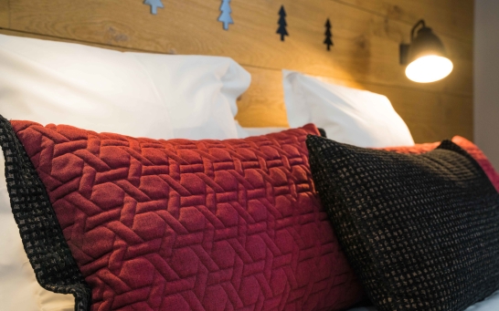 ALMOHADAS HABITACIÓN DOBLE SUPERIOR