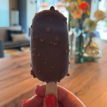 El nostre Magnum